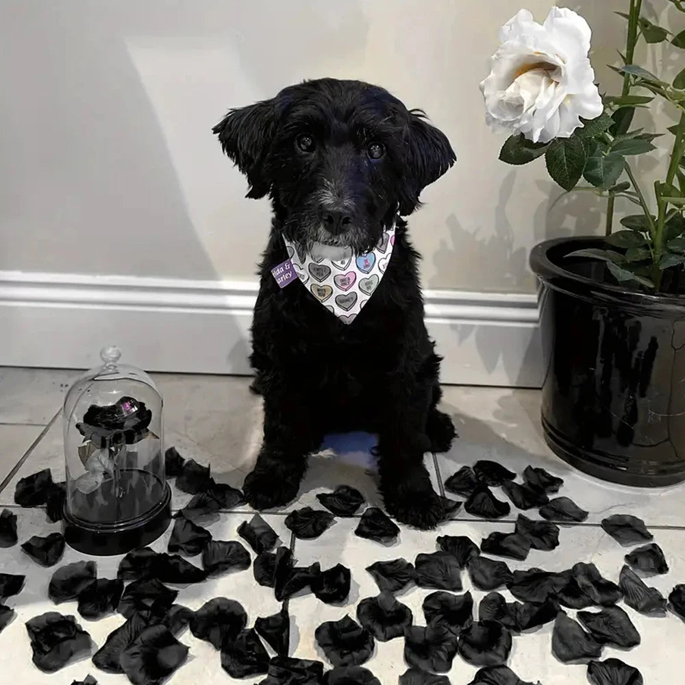 Artificial  Rose Petals