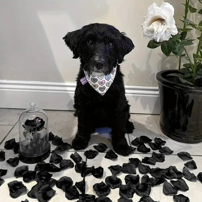 Artificial  Rose Petals