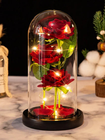 Enchanting Red Rose